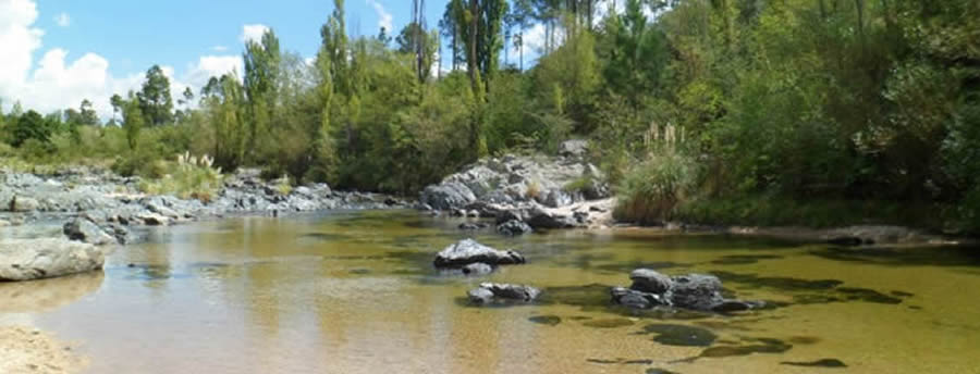 Los Reartes
